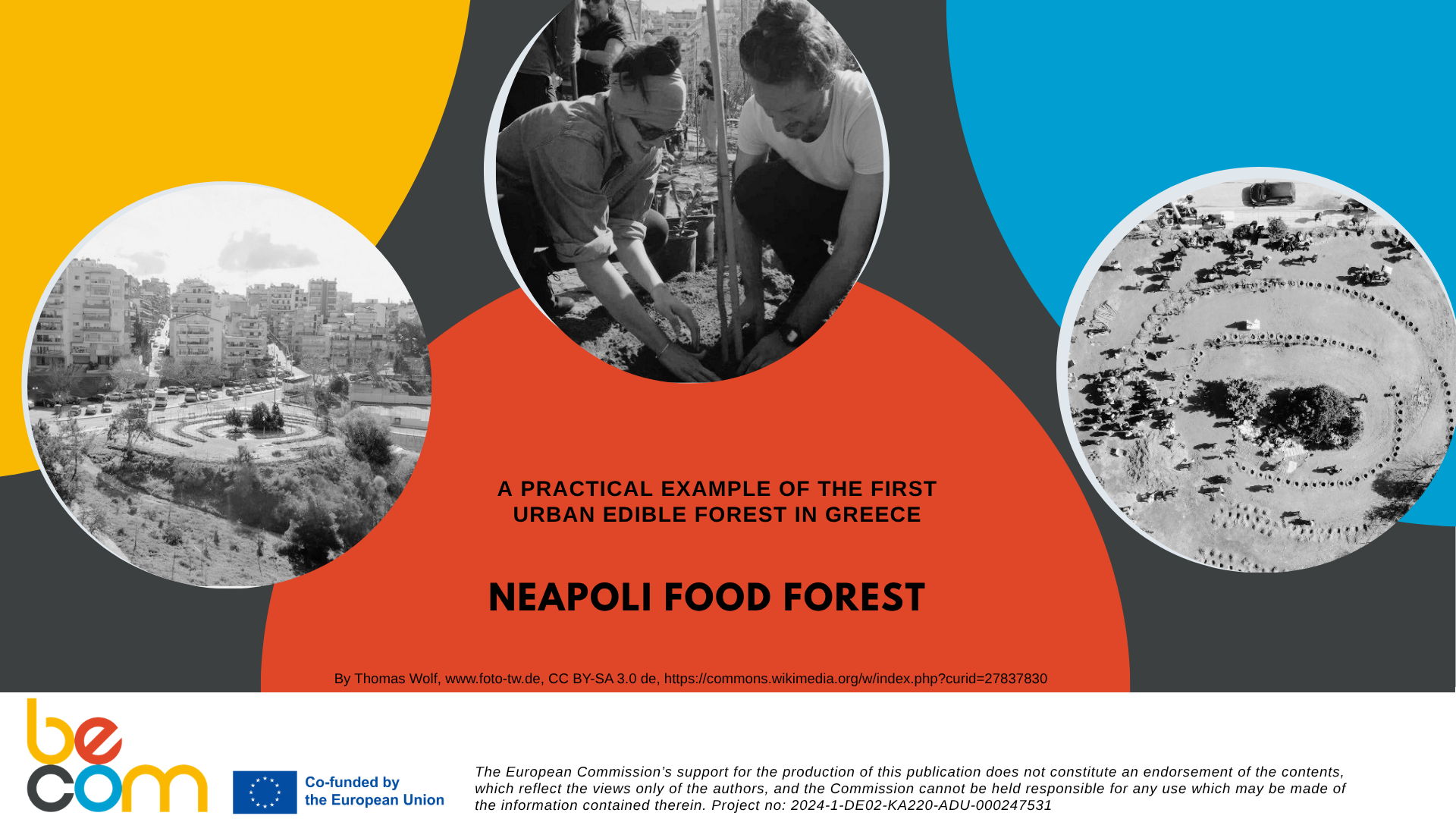 CG4: Neapoli Food Forest- Growing Food, Nature and Community