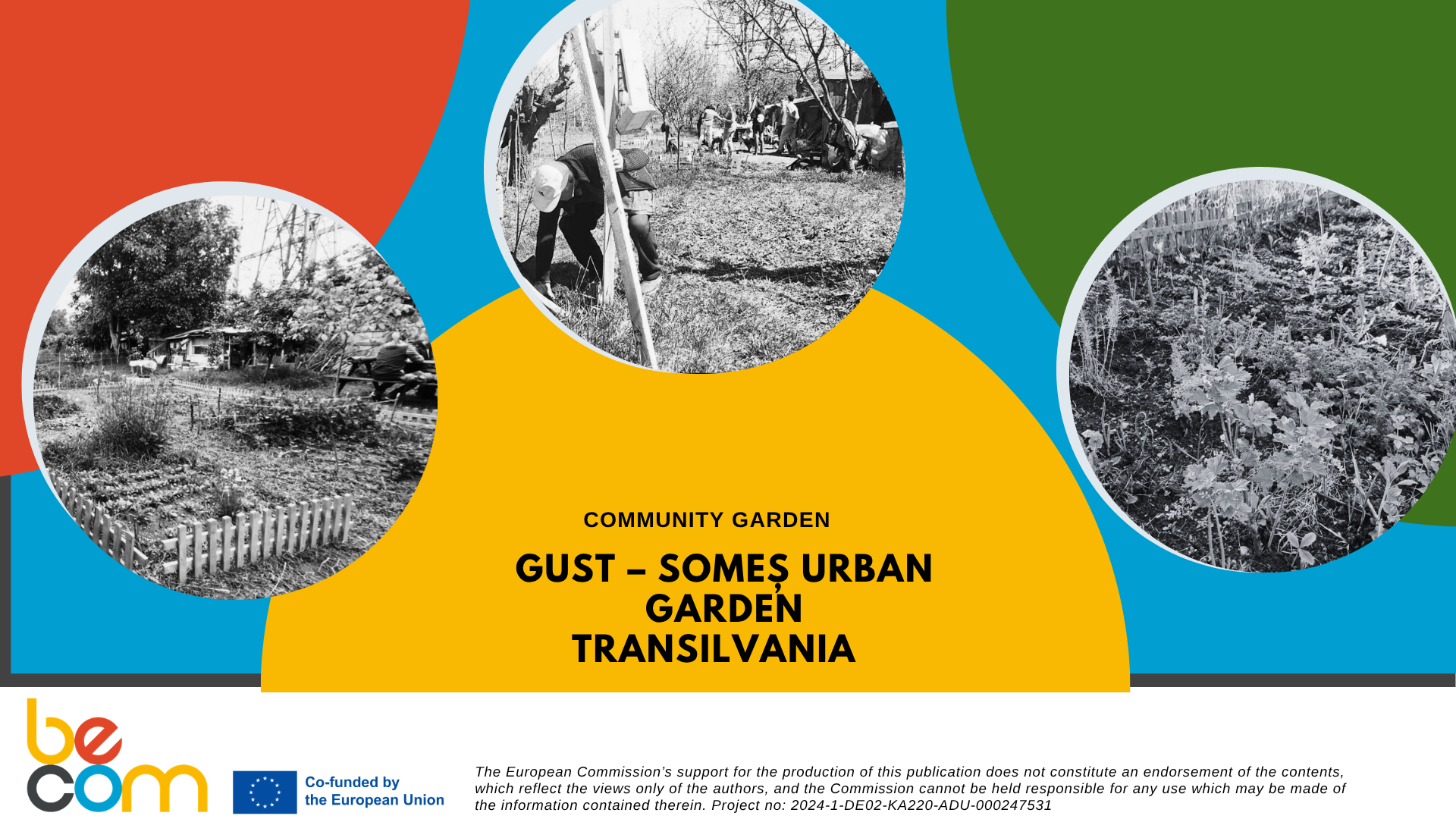 CG6: GUST – Someș Urban Garden Transilvania