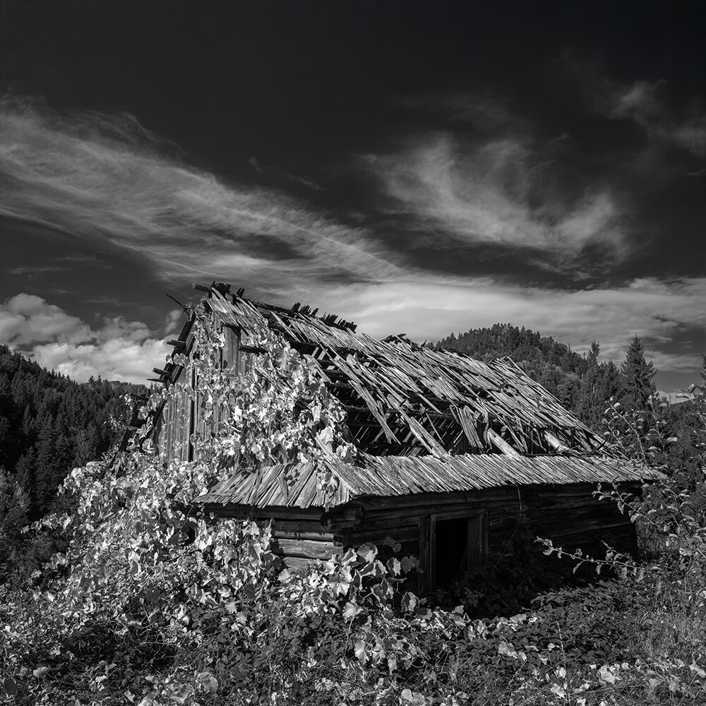 nimble_asset_2024-09-28-Baiut-VM0742-mod