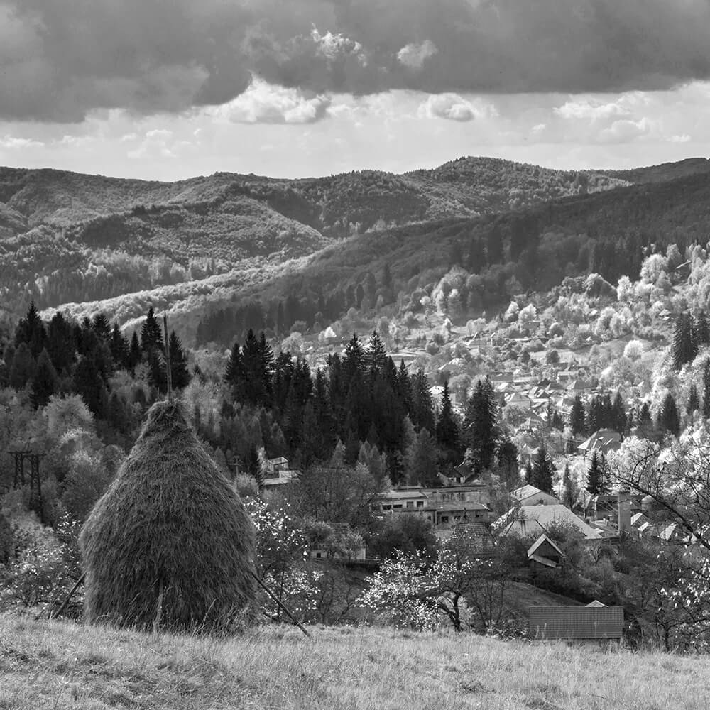 nimble_asset_Vlad-Marinescu-2014_10_18-4876-mod-ws